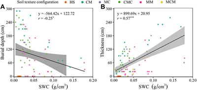 Effects of Textural Layering on Water Regimes in Sandy Soils in a Desert-Oasis Ecotone, Northwestern China